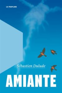 Lire la suite à propos de l’article Amiante – Sébastien Dulude